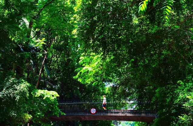 O verde e a passarela do Parque Trianon O verde e a passarela do Parque Trianon