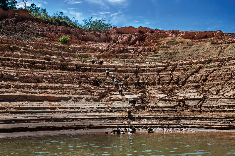 Chuvas no Cantareira foram praticamente a metade da média histórica