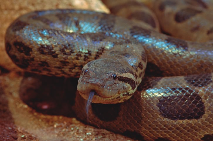 Ator que interpreta Jaime dá dicas de passeio