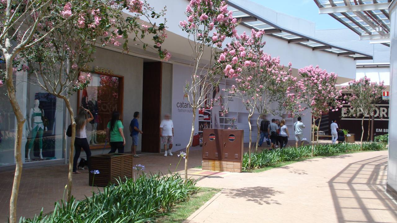São Roque