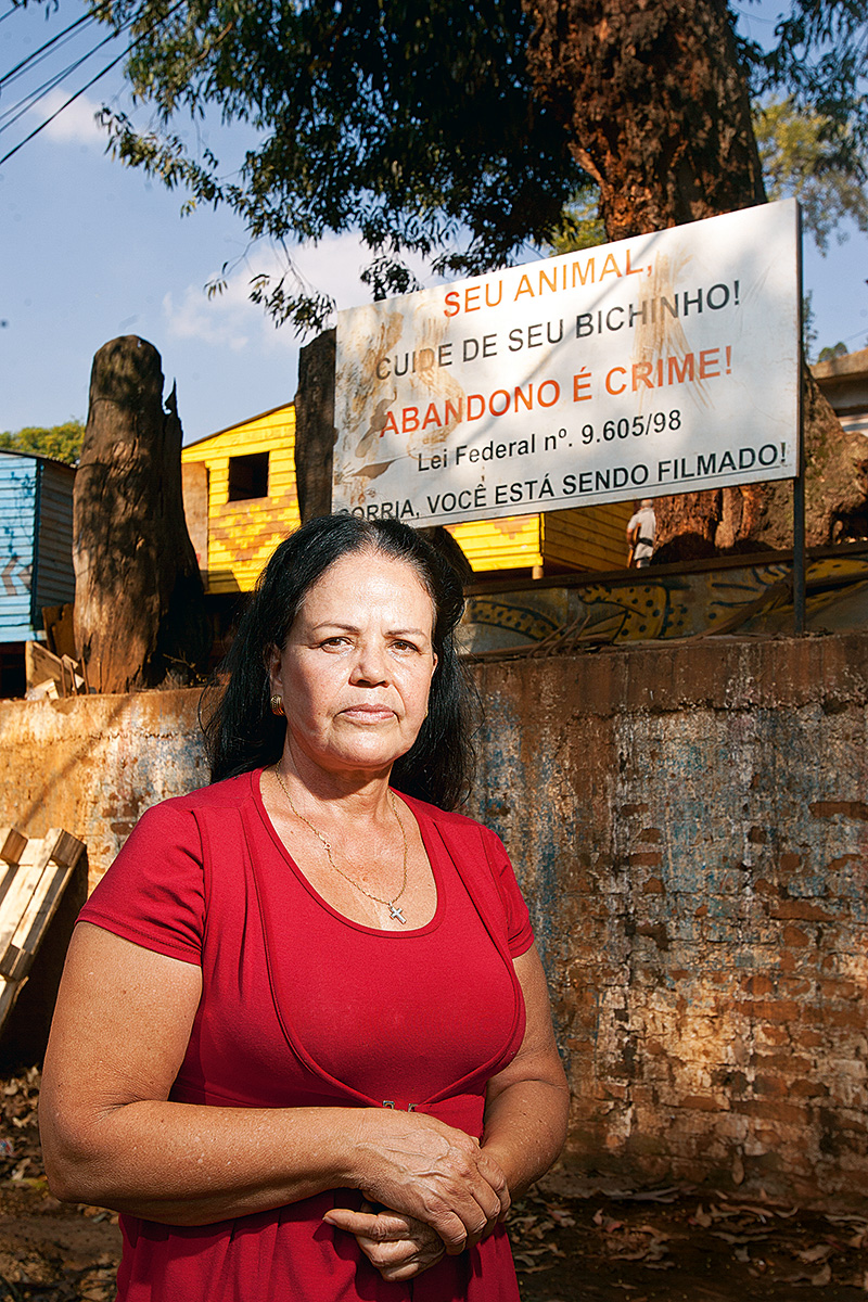 Aldeias próximas ao Pico do Jaraguá sofrem com abandono de cães