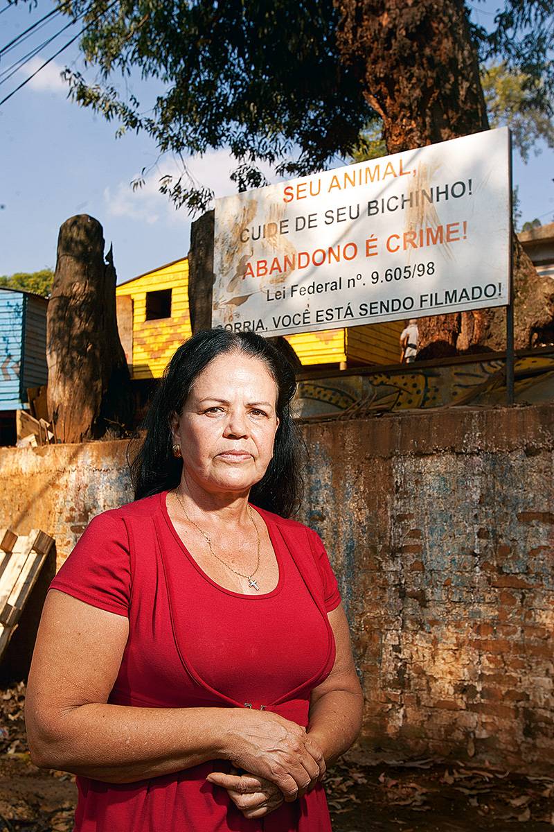 Aldeias próximas ao Pico do Jaraguá sofrem com abandono de cães