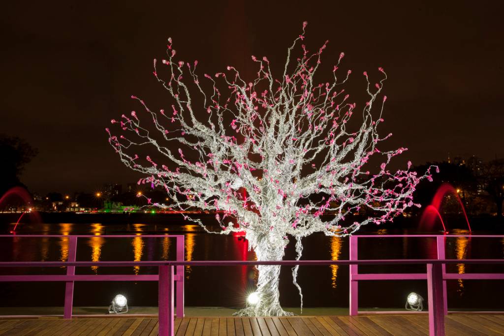 Fonte do Ibirapuera promove show de águas e luzes em homenagem às mulheres