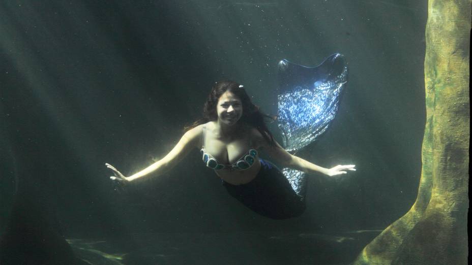 Do vidro do aquário, é possível cumprimentar a sereia, bem de pertinho