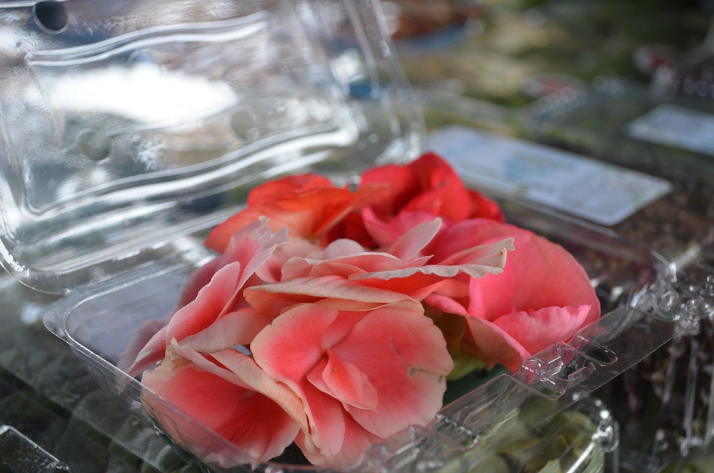 Flores comestíveis podem ser encontradas na Ceagesp