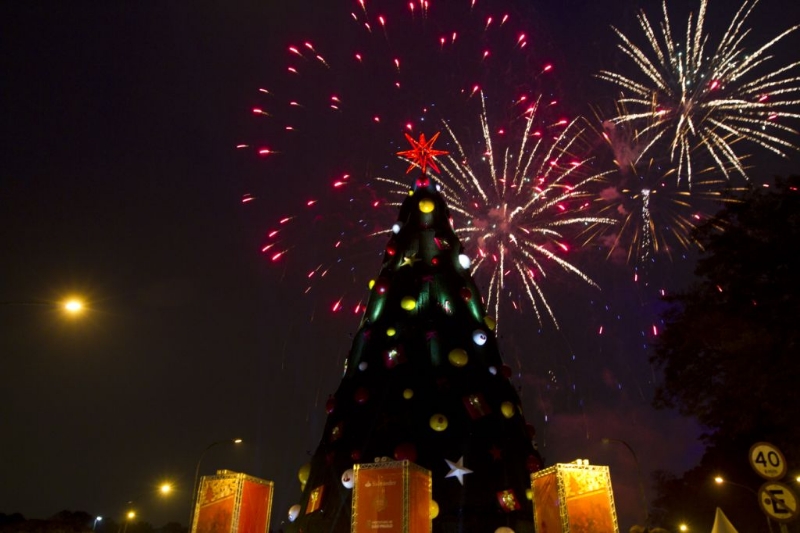 Inauguração da árvore de Natal do Ibirapuera