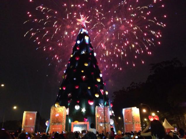 Inaugura&ccedil;&atilde;o da &aacute;rvore de Natal do Ibirapuera - 8/12/13
