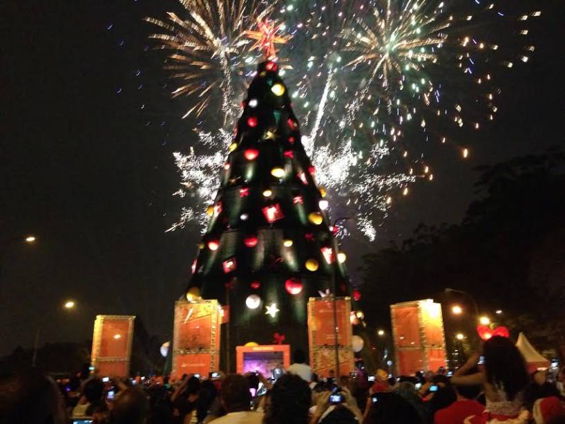 Inaugura&ccedil;&atilde;o da &aacute;rvore de Natal do Ibirapuera - 8/12/13