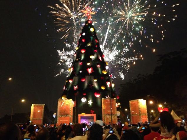 Inaugura&ccedil;&atilde;o da &aacute;rvore de Natal do Ibirapuera - 8/12/13
