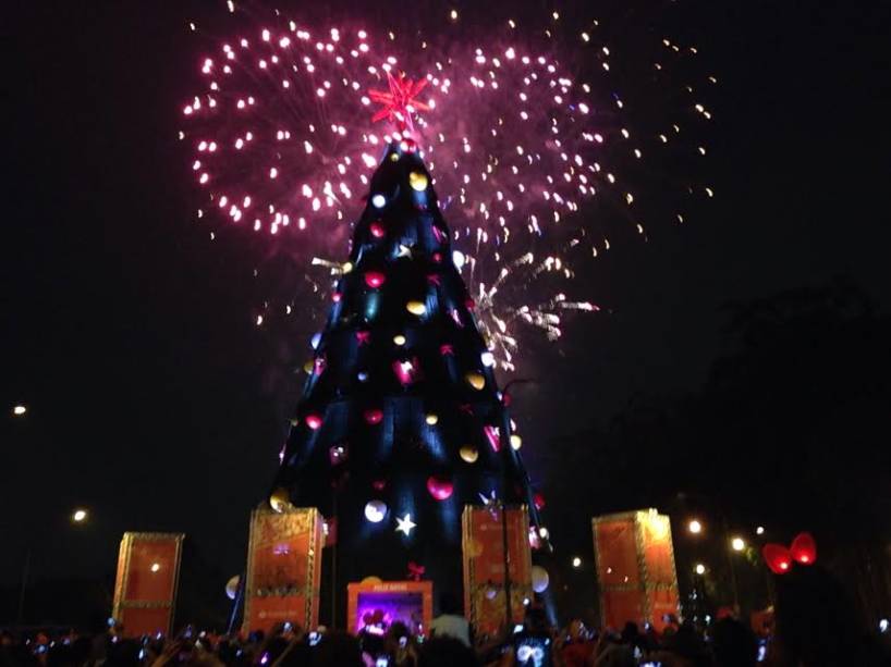 Inaugura&ccedil;&atilde;o da &aacute;rvore de Natal do Ibirapuera - 8/12/13