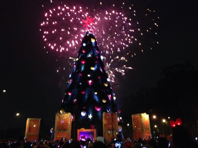 Inaugura&ccedil;&atilde;o da &aacute;rvore de Natal do Ibirapuera - 8/12/13