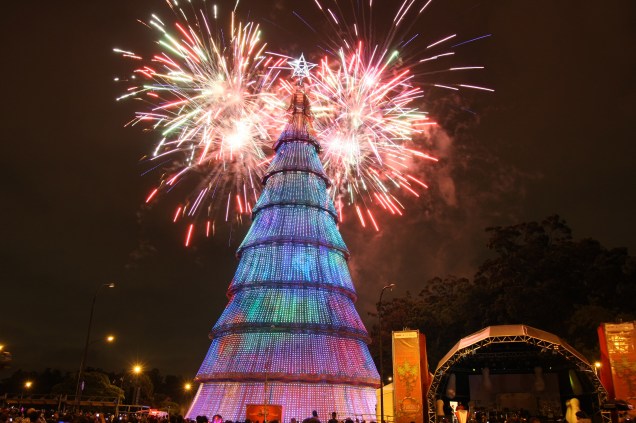 Natal Iluminado - &Aacute;rvore do Parque do Ibirapuera em 2010