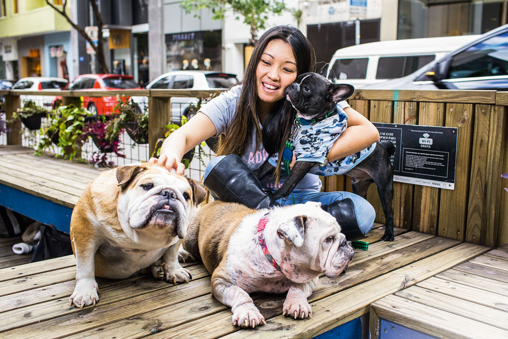 Luciana Shen buldogue protetora cachorro