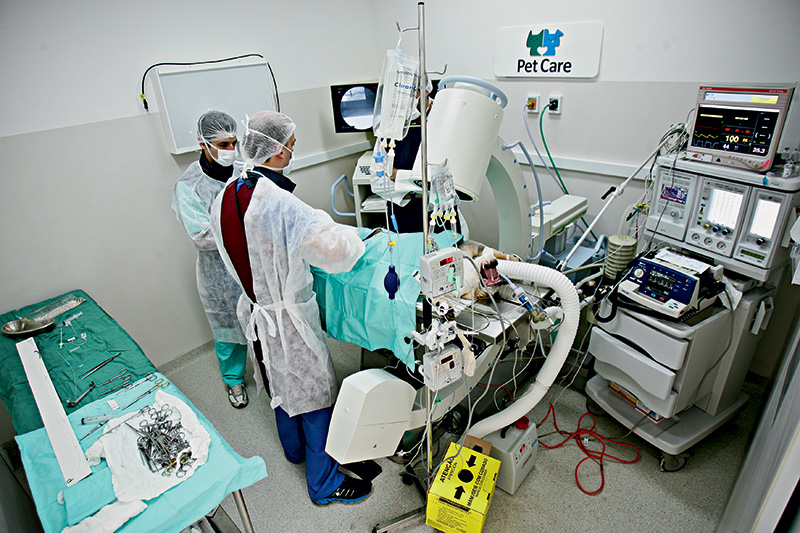 Veterinários investem em aparelhos e exames de alta tecnologia