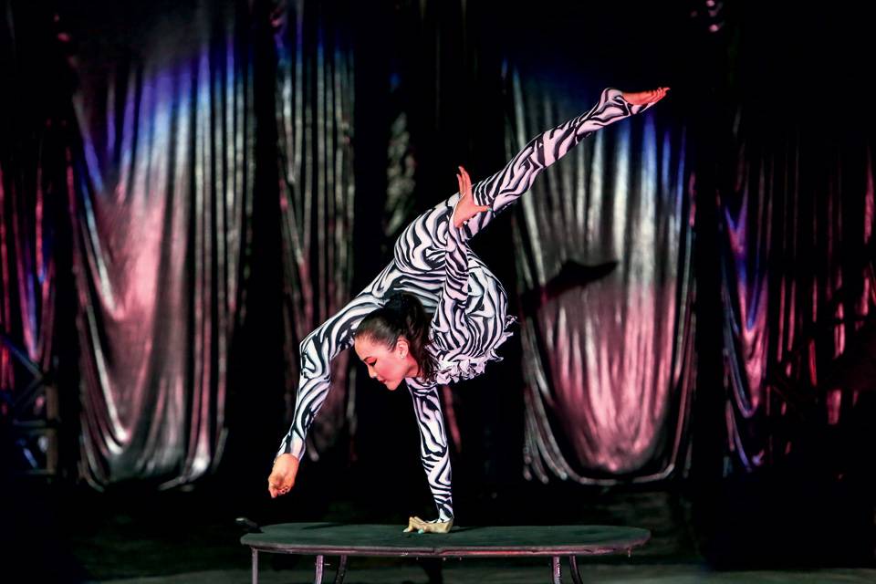 Espetáculos de circo que fazem temporada na capital