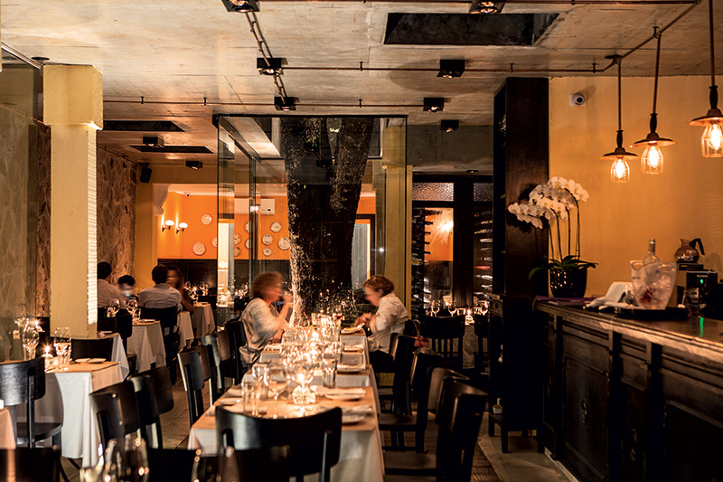 Jacarandá: enorme árvore que dá nome ao restaurante Jacarandá: enorme árvore que dá nome ao restaurante