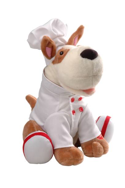 	C&atilde;o Spock Mestre Cuca