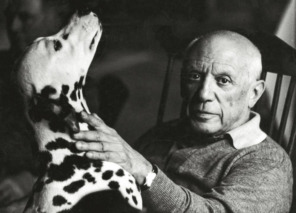 Picasso