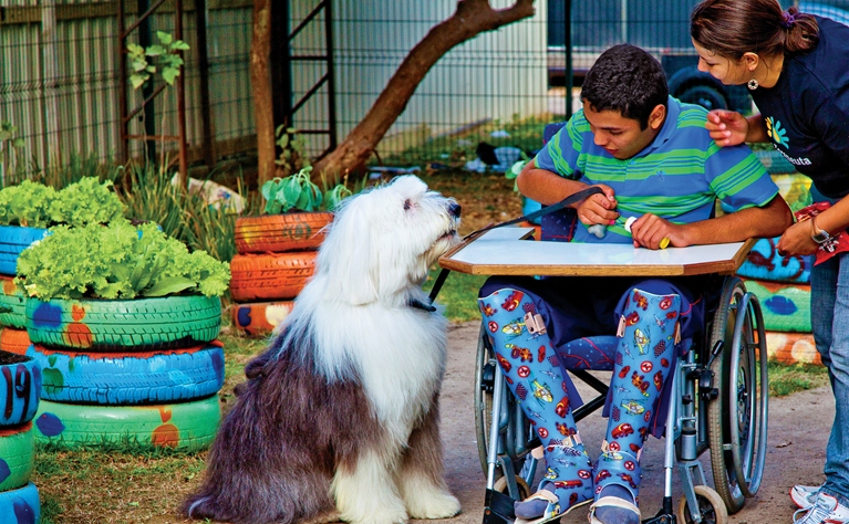 O sheepdog Bruce no Núcleo Assistencial Irmão Alfredo, no Brooklin O sheepdog Bruce no Núcleo Assistencial Irmão Alfredo, no Brooklin