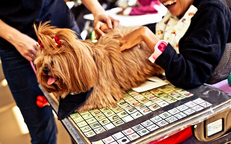 A lhasa apso Lisa também acompanha pacientes da Fraternidade Irmã Clara