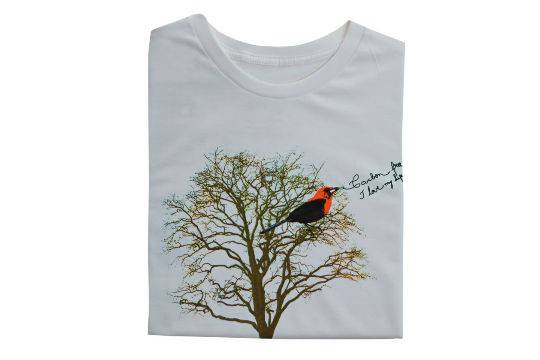 Camiseta de algod&atilde;o org&acirc;nico, R$ 68,50. Ti&ecirc;, Rua Harmonia, 218, Vila Madalena, tel.: 3032-4345, www.tiemodaecologica. com.br.