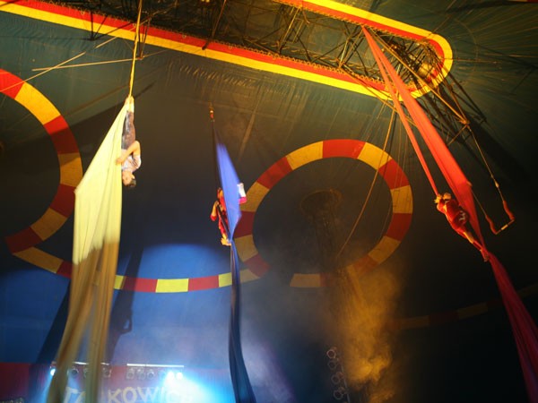 Artistas fazem também show nos tecidos, impressionando público Artistas fazem também show nos tecidos, impressionando público
