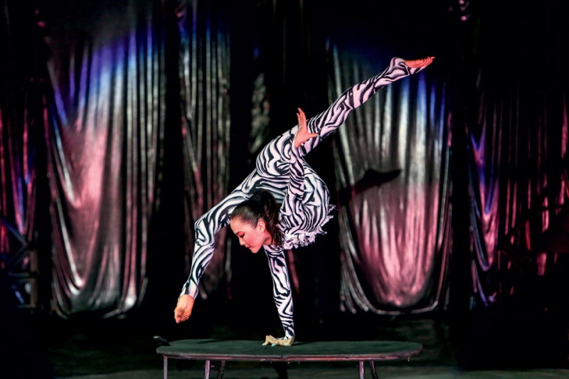 São usados 3.500 figurinos durante as apresentações São usados 3.500 figurinos durante as apresentações