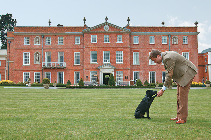 four seasons hampshire bom pra cachorro