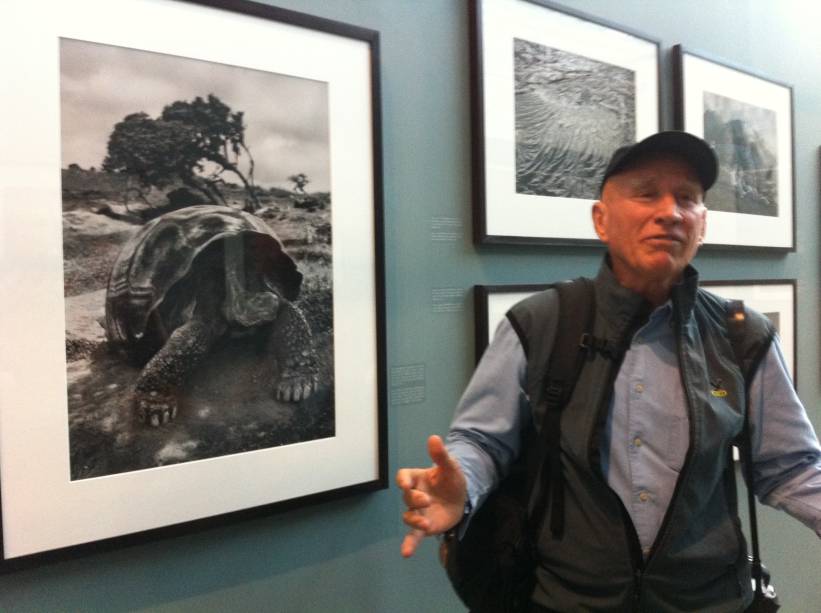 Tartaruga-gigante-de-galápagos, na borda da cratera do vulcão Alcedo, na ilha Isabela: "Sempre que me aproximava, ela fugia. Consegui fazer a foto, quando me abaixei e fiquei na altura dela. Consegui ganhar a confiança do animal" Tartaruga-gigante-de-galápagos, na borda da cratera do vulcão Alcedo, na ilha Isabela: "Sempre que me aproximava, ela fugia. Consegui fazer a foto, quando me abaixei e fiquei na altura dela. Consegui ganhar a confiança do animal"