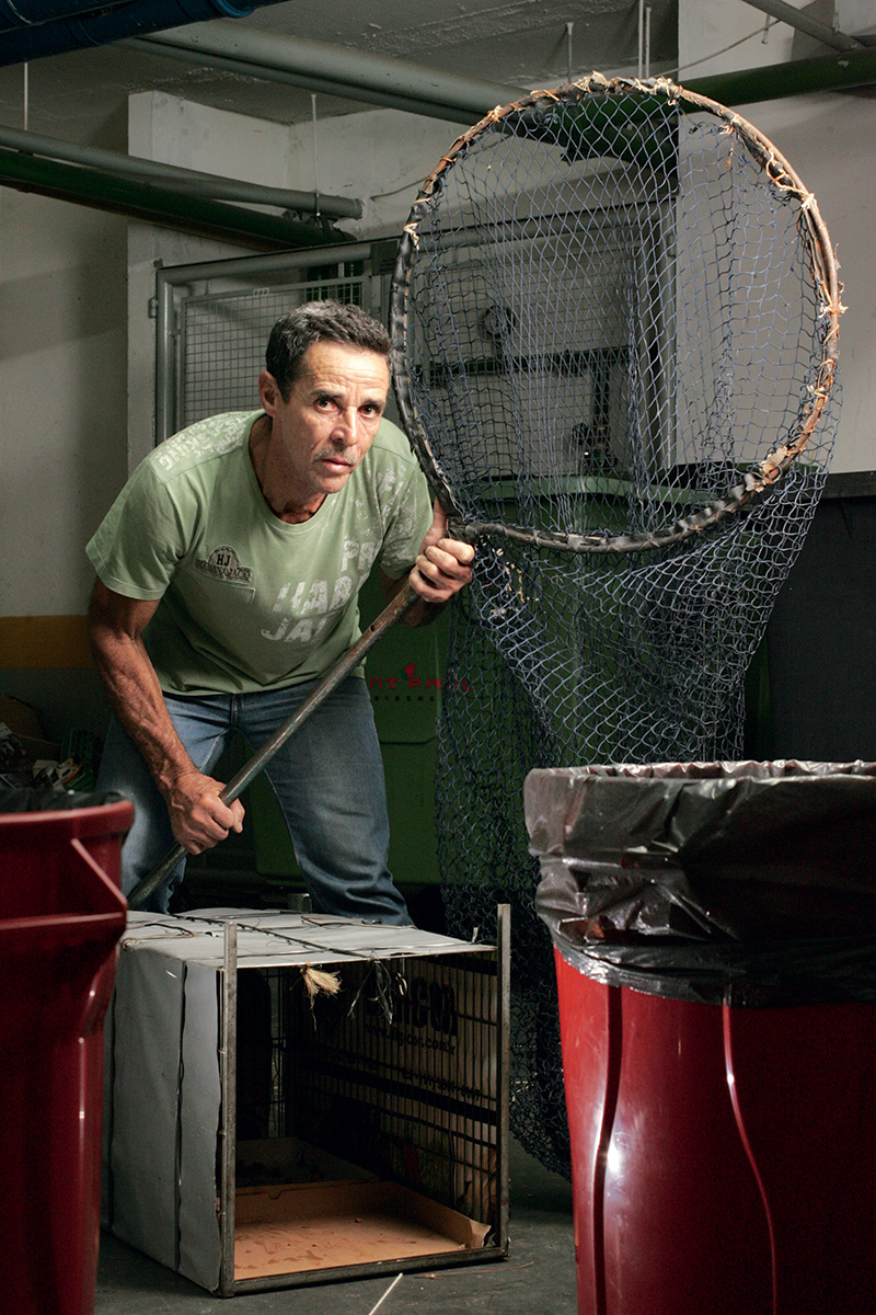 Caçador de gatos já laçou milhares de felinos