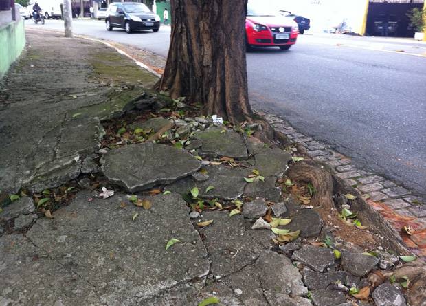 Rua Vergueiro, na altura do n&uacute;mero 8618: raiz de &aacute;rvore monstruosa destro&ccedil;ou boa parte do cal&ccedil;amento
