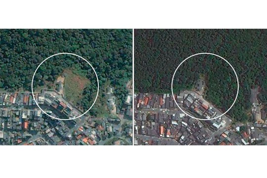 Mapas - Parque do Estado - Flora - Vegetação - Perfil - 2274