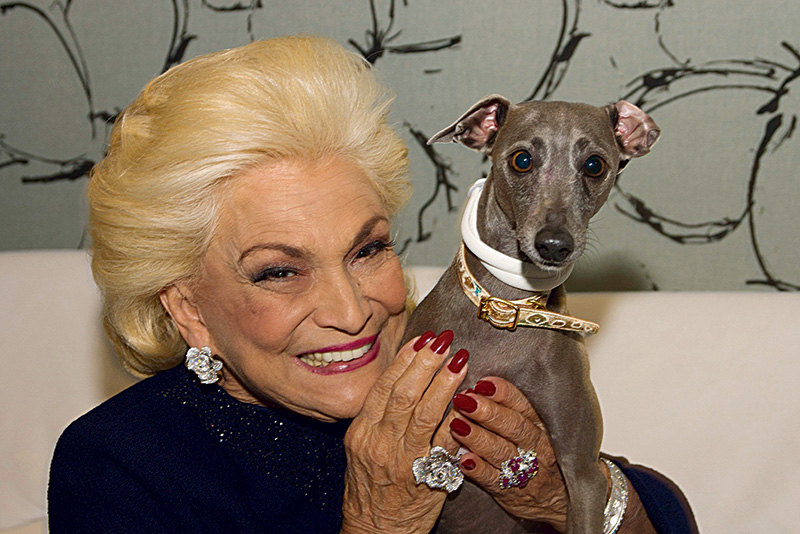 Dona de casa acusada de matar 39 animais aguarda julgamento