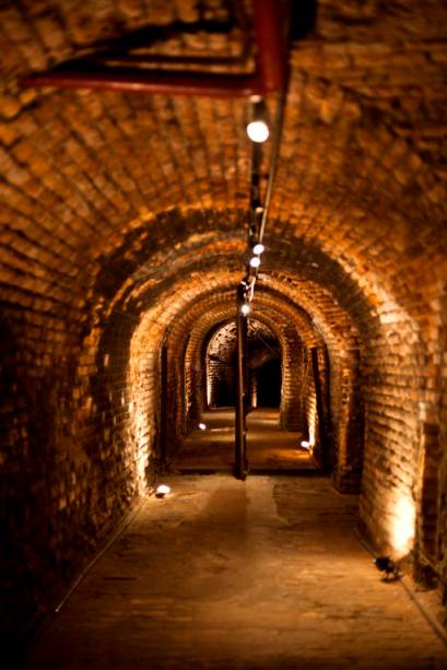 Os visitantes também podem visitar seu subsolo Os visitantes também podem visitar seu subsolo