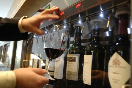 Boa comida regada à sua bebida preferida: fermentados