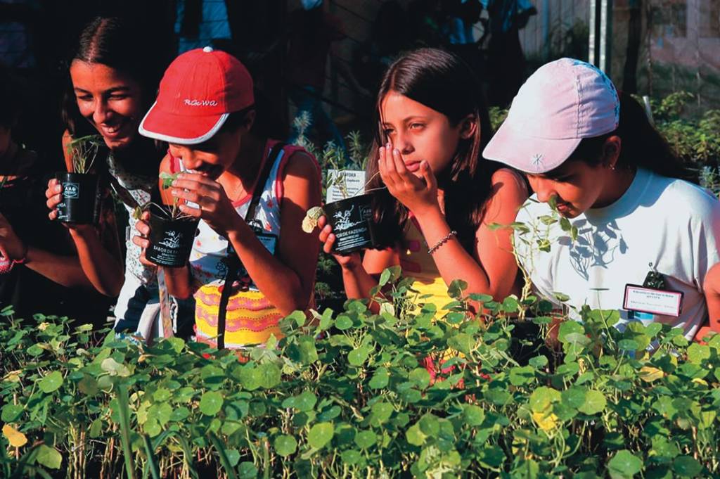 Férias educativas: meio ambiente