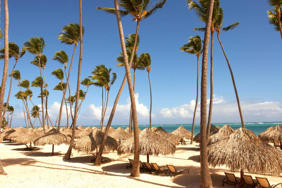 Sombra e água fresca: o coqueiral à beira-mar do resort Paradisus Palma Real, na Praia de Bávaro