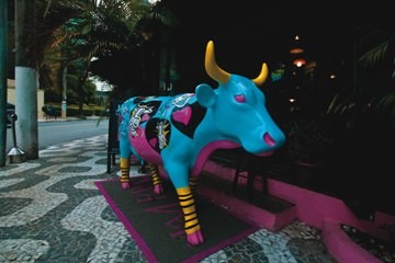 Manada à solta pela capital