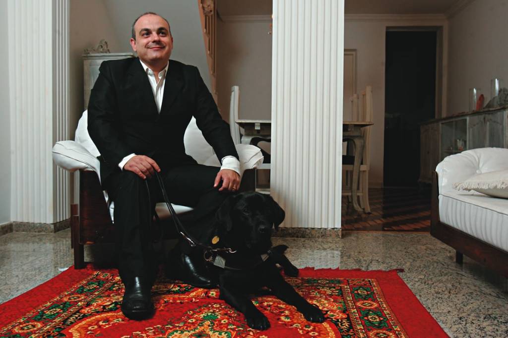 Cães-guia, preciosos companheiros