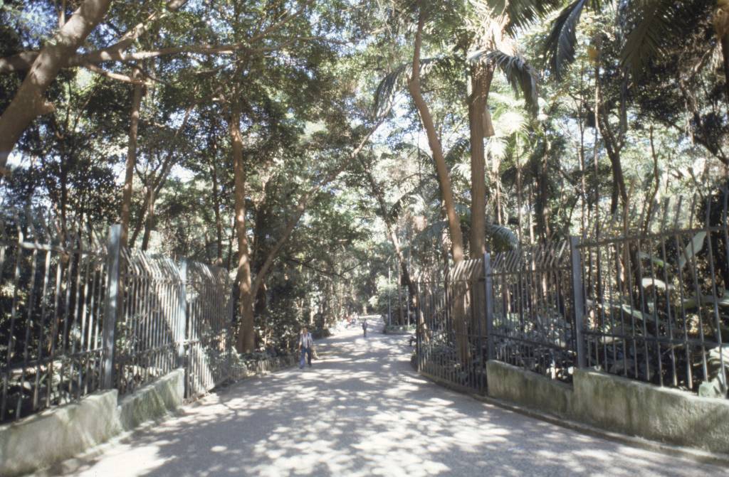 Programas perto do metrô: Linha Verde