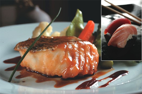 Aya Japanese Cuisine 2233
