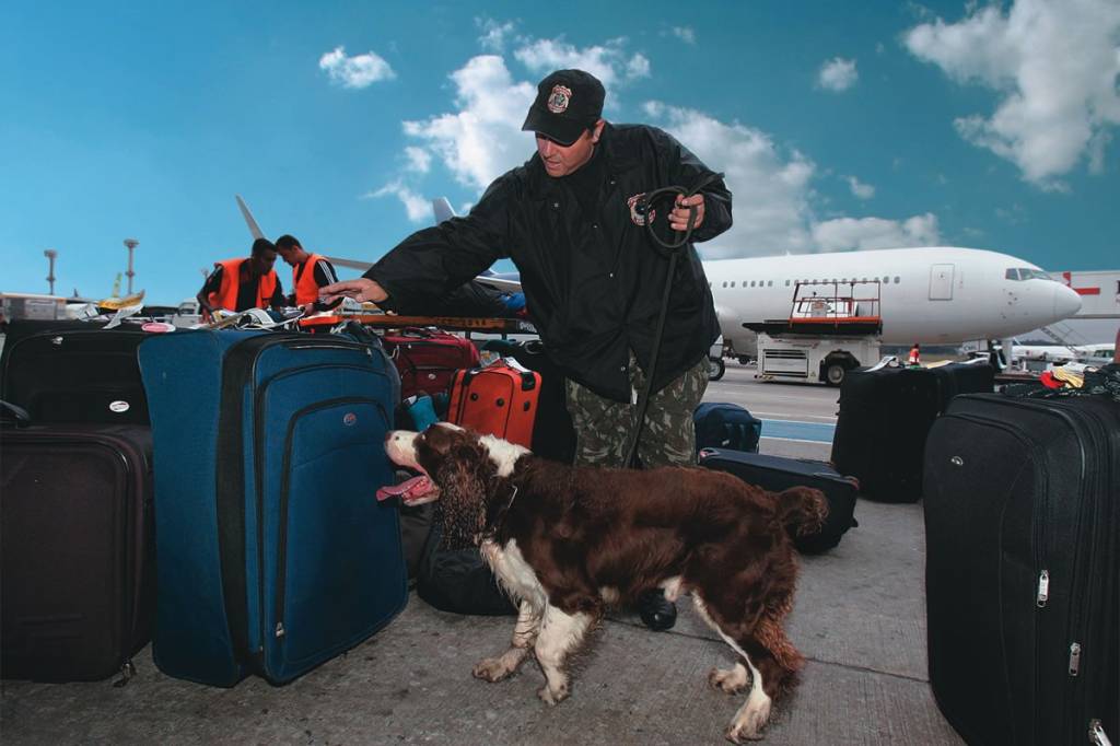Jaffar, o cachorro vigilante em Cumbica