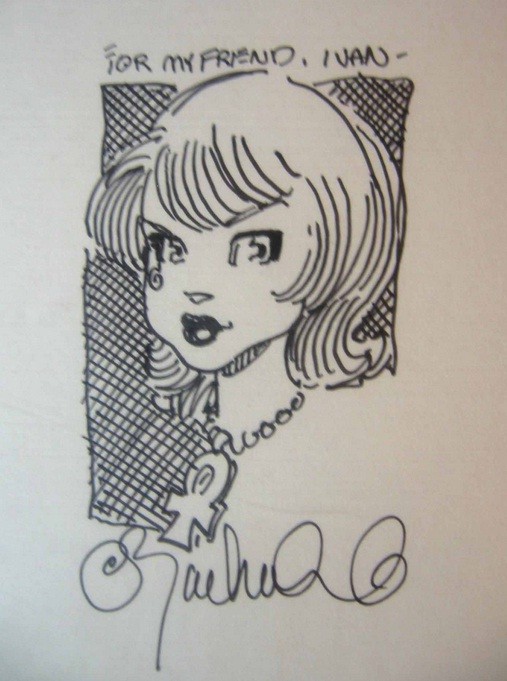 O colecionador de heróis