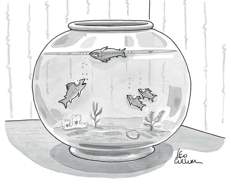 charge