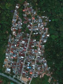 Triplica o número de inquéritos ambientais em São Sebastião