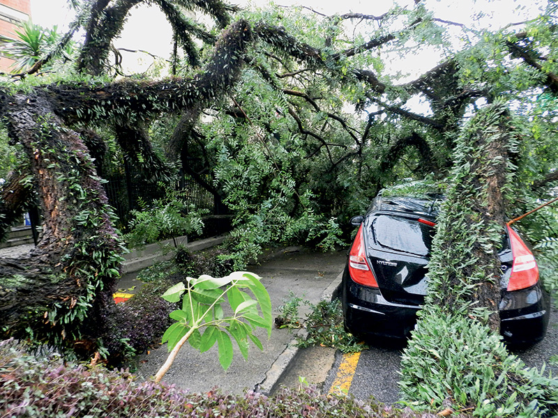 Moradores e comerciantes improvisam para driblar quedas de energia