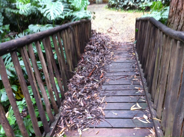 Parques da cidade enfrentam sujeira e abandono