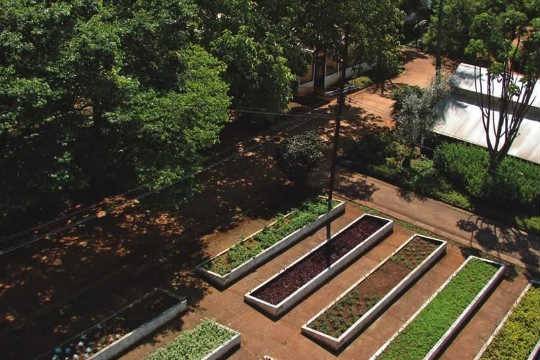 Parque do Ibirapuera oferece alternativas para sossego e agitação