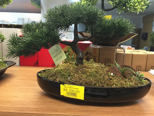 Mini jardim japon&ecirc;s (200 reais)