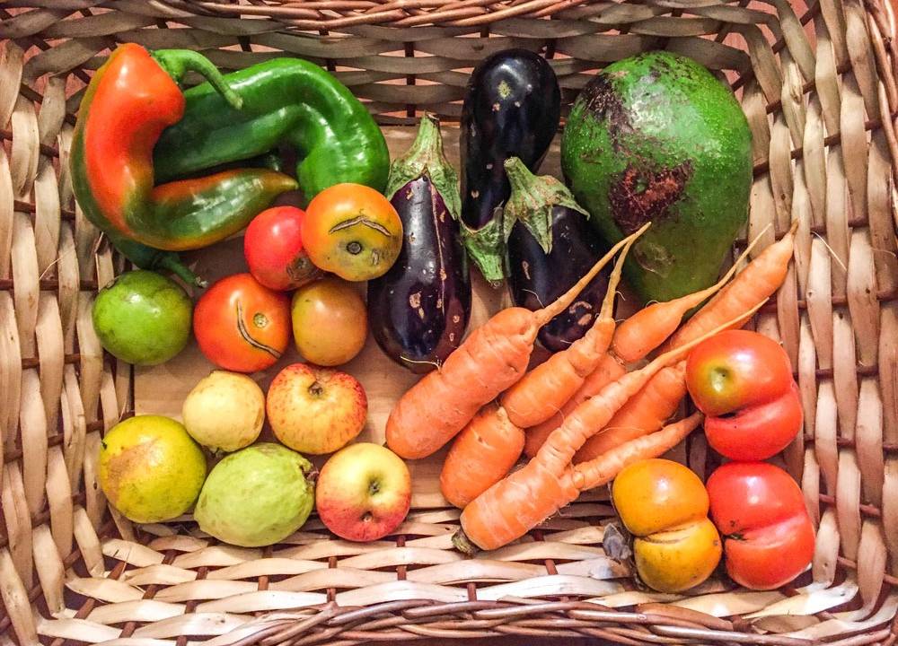 Fruta Imperfeita